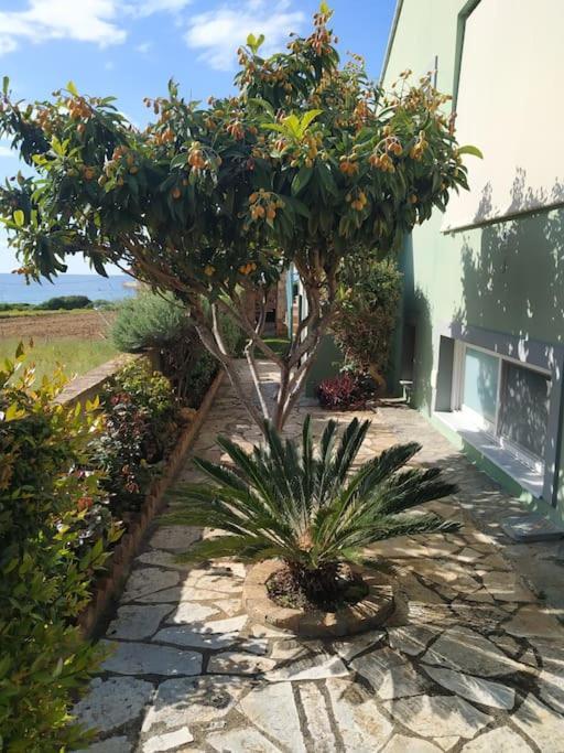 In Overlooking The Ionian Sea Villa